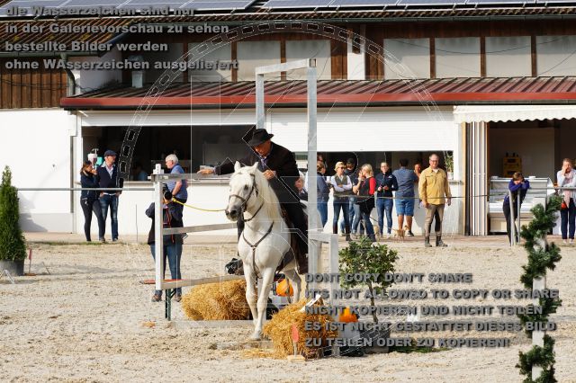 s_DSC04416.JPG